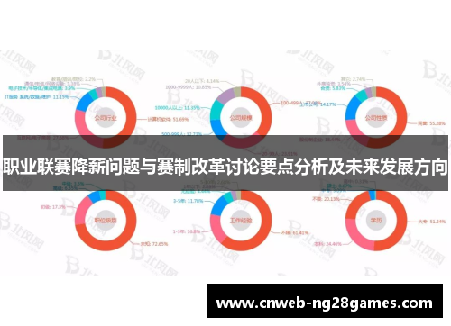 职业联赛降薪问题与赛制改革讨论要点分析及未来发展方向 职业联赛降薪问题与赛制改革讨论要点分析及未来发展方向